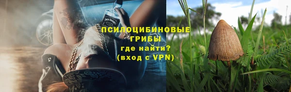 дживик Карпинск