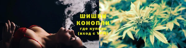 дживик Карпинск