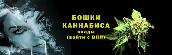 спайс Магас