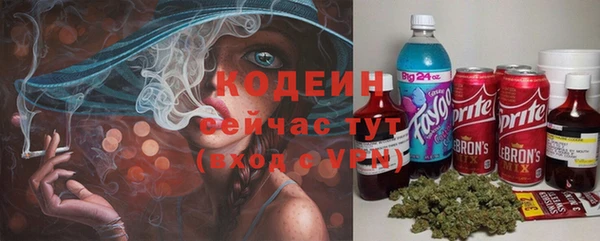 гидра Киренск