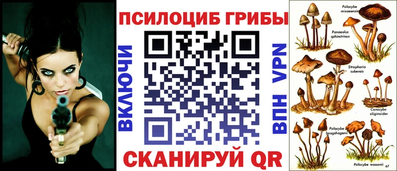 где купить   Серов  Галлюциногенные грибы ЛСД 