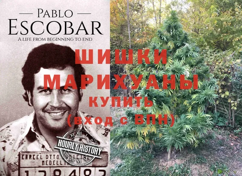 Канабис конопля  Серов 